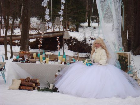 Свадьба в Орехово-Зуево 17.01.2015