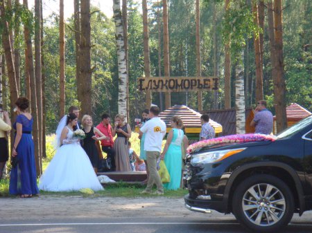 Свадьба в Шатуре 25 июля