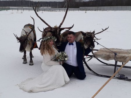 Свадьба в Орехово-Зуево 26 января 2018 года